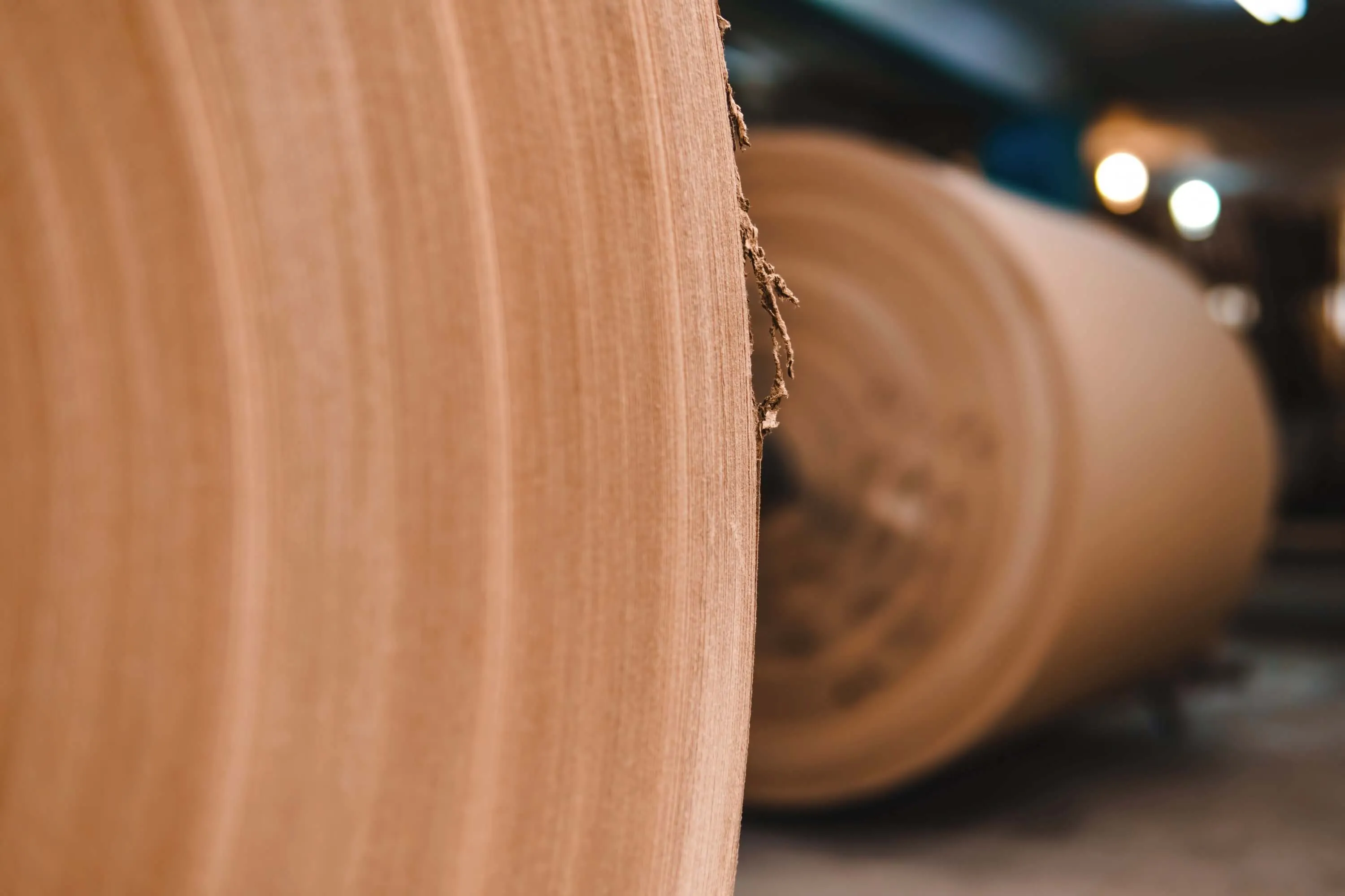 Paperliner | Omida VLS